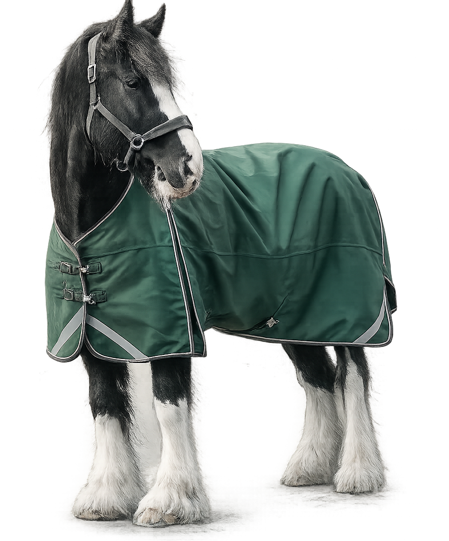 Epic Essential 100g Turnout Rug - Broad Fit