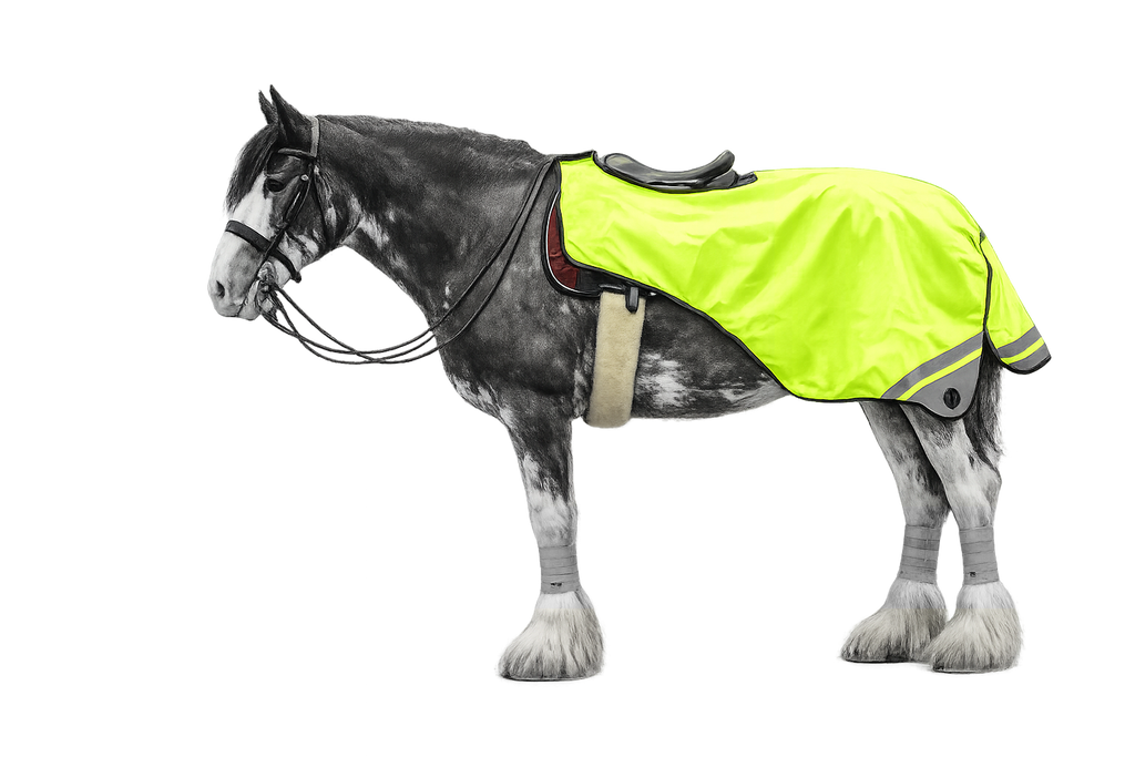 Epic Classic Exercise Sheet - Fluorescent Yellow