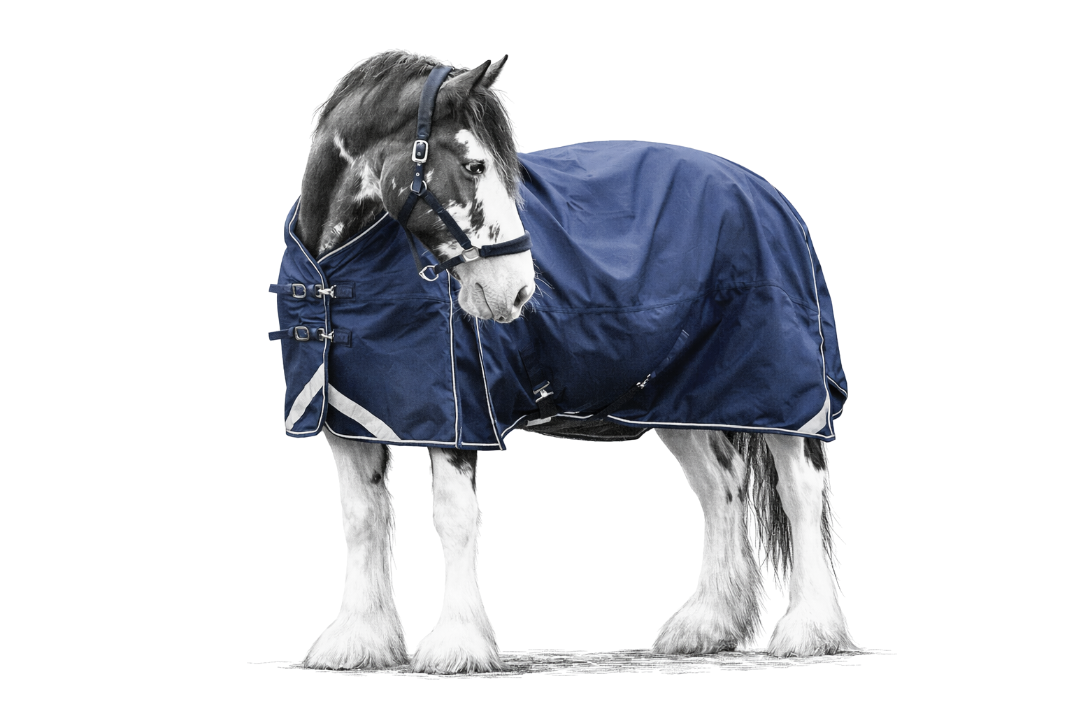 Epic Essential 40g Turnout Rug - Broad Fit