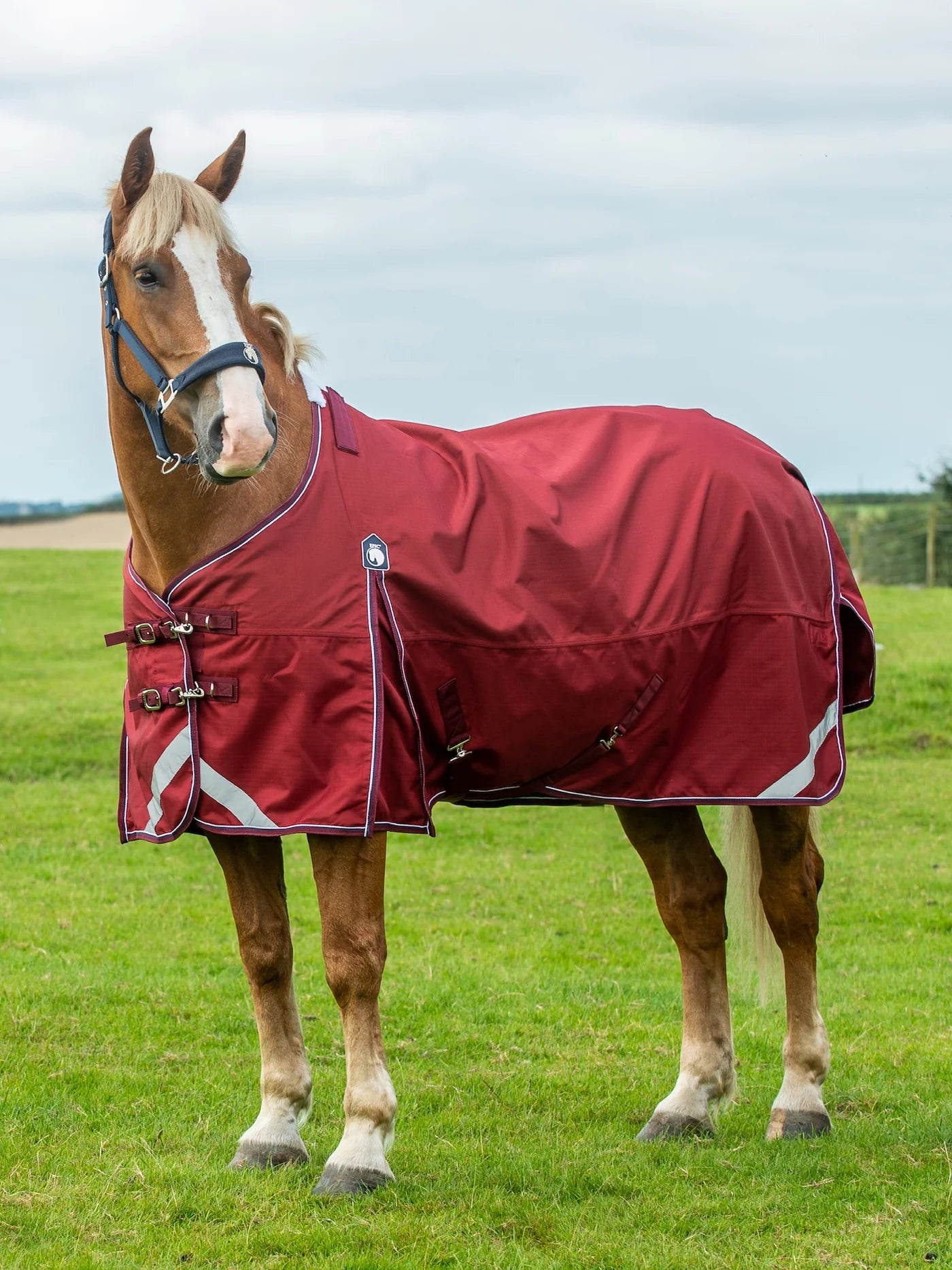 Epic Essential No Fill Turnout Rug - Broad Fit