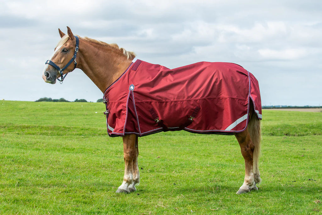 Epic Essential No Fill Turnout Rug - Broad Fit