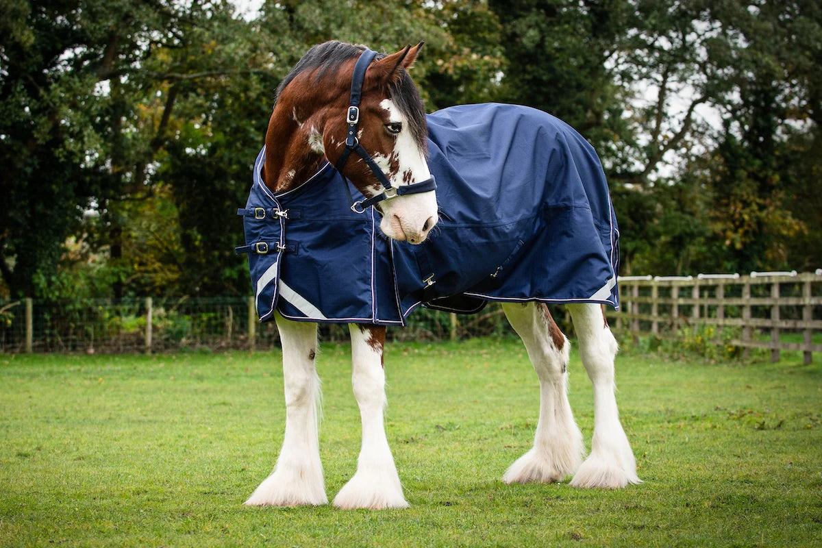 Epic Essential 40g Turnout Rug - Broad Fit