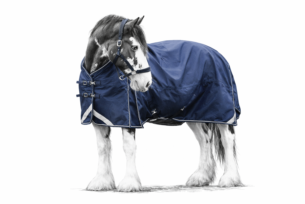 Epic Essential 40g Turnout Rug - Broad Fit