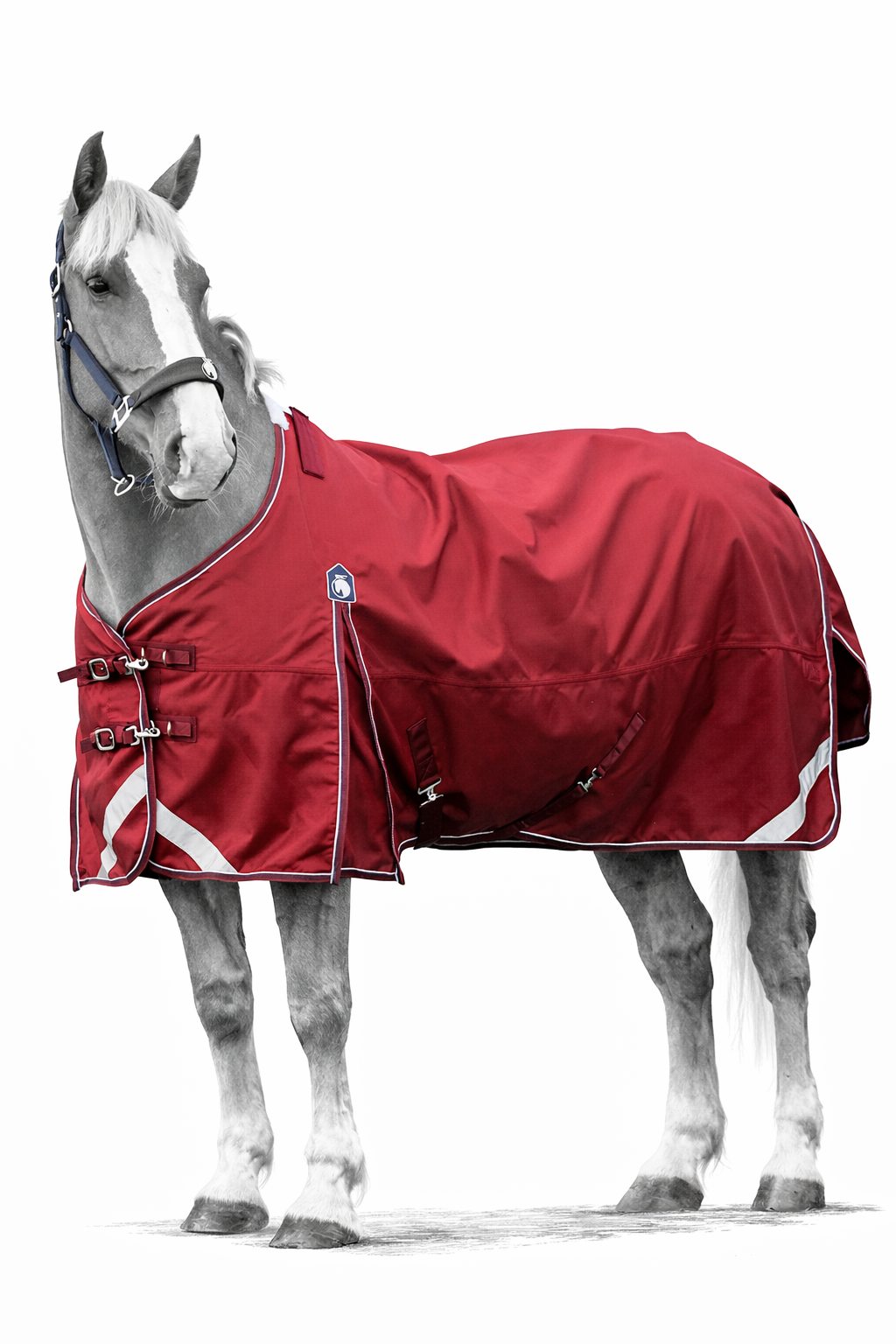 Epic Essential No Fill Turnout Rug - Broad Fit