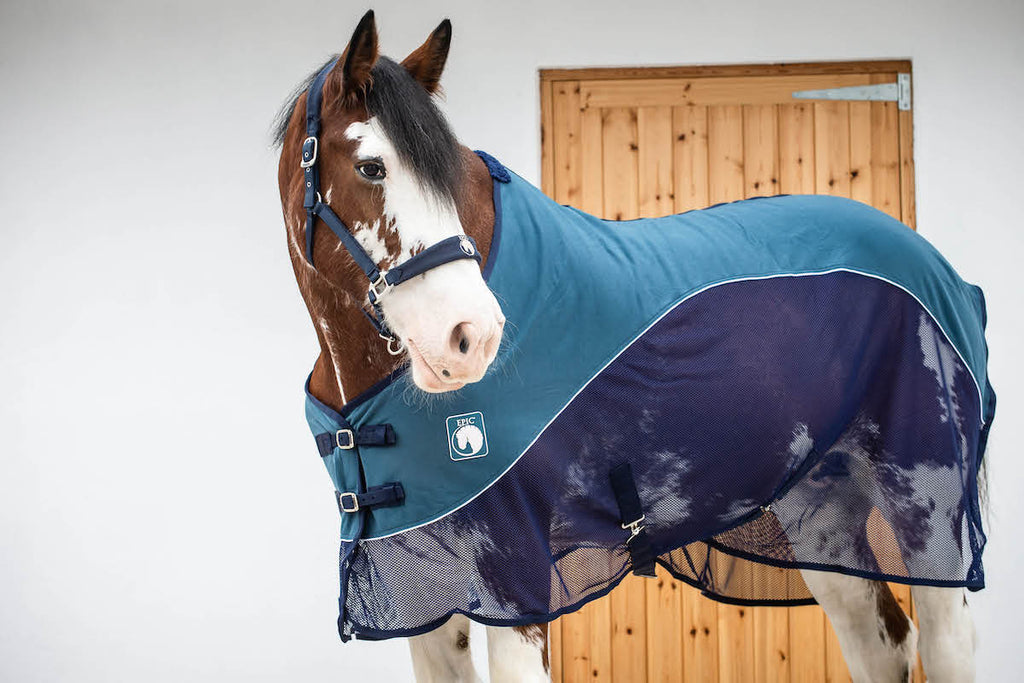 Epic Classic Sport Cooler - Broad Fit - Indian Teal/Navy