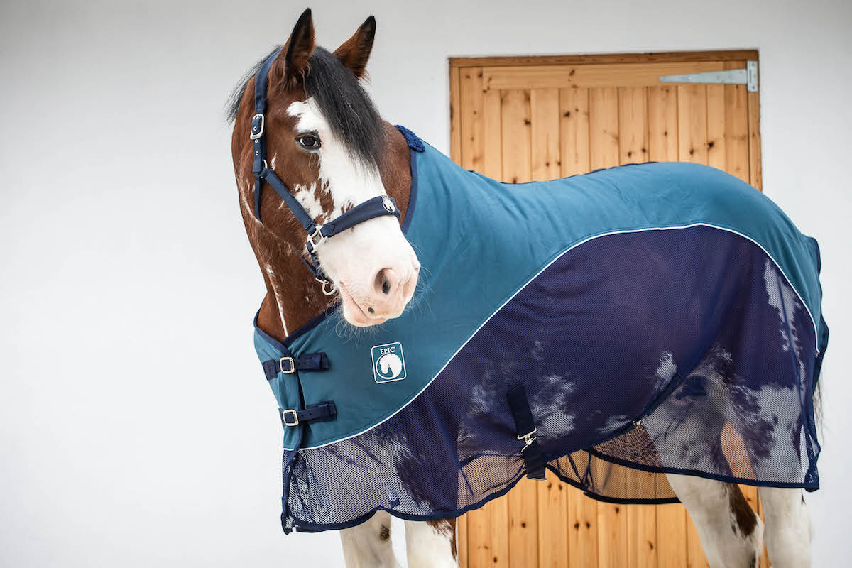 Epic Classic Sport Cooler - Broad Fit - Indian Teal/Navy