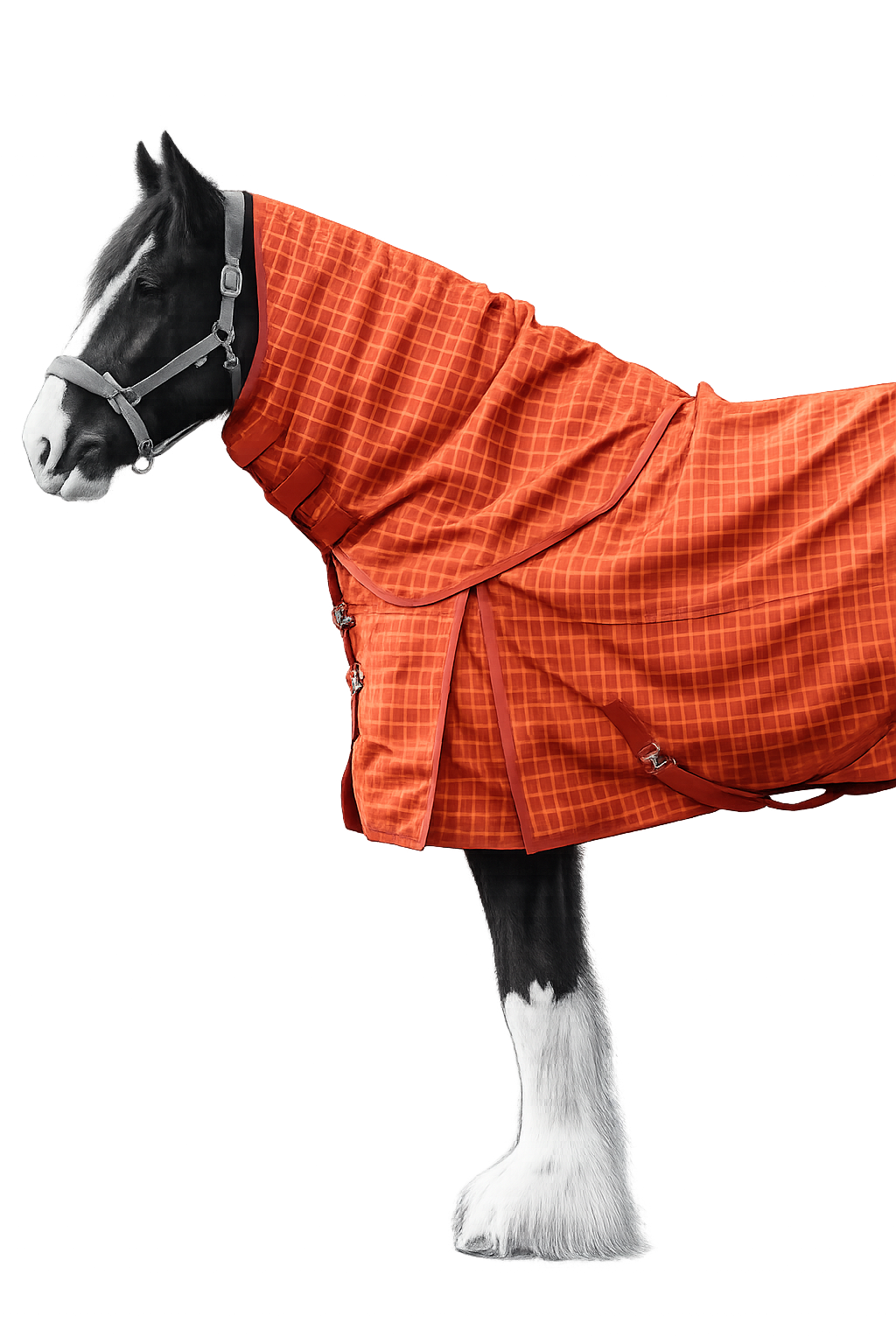 Epic Classic No Fill Turnout Hood - Broad Fit - Orange Check