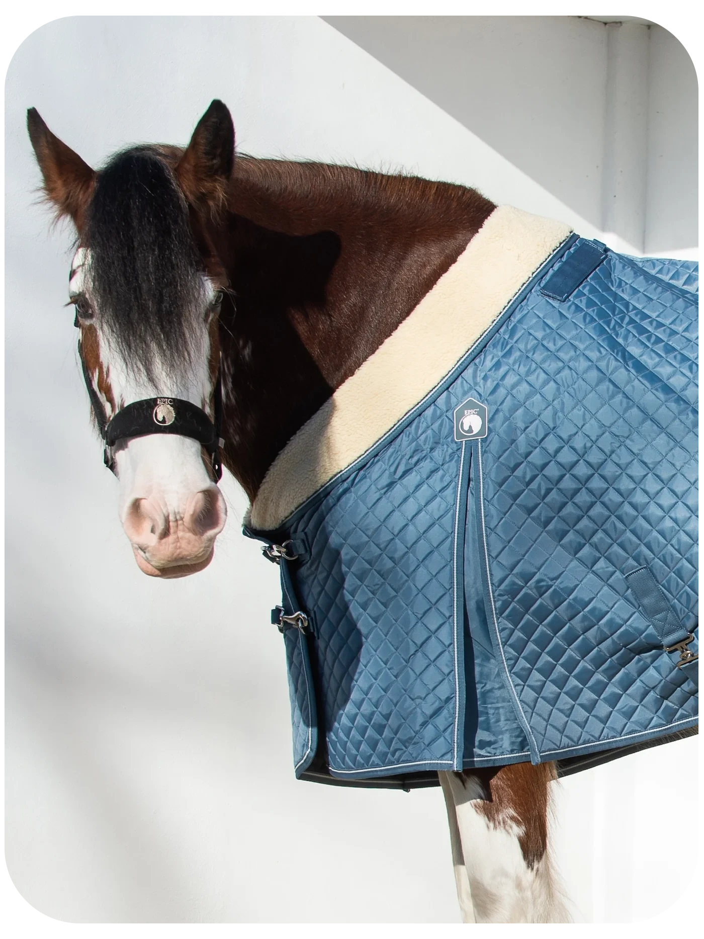 Epic Classic 50g Stable Rug - Broad Fit
