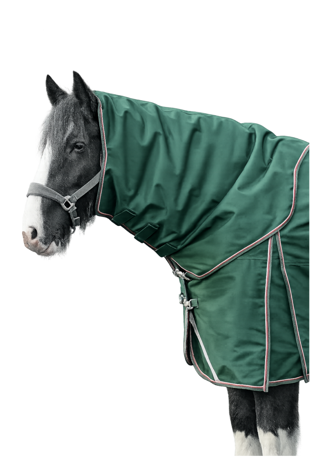 Epic Essential 100g Turnout Hood - Broad Fit - Forest