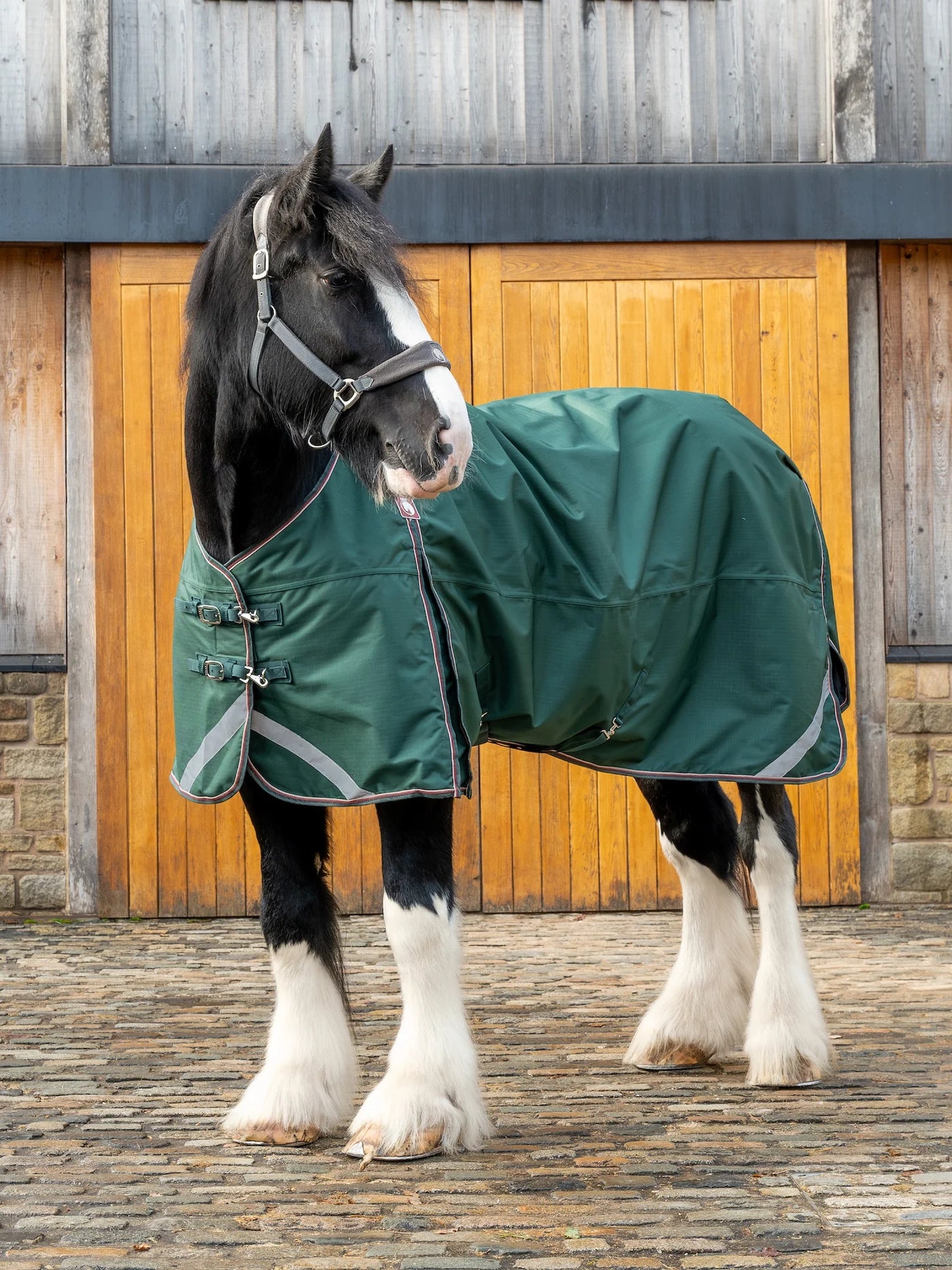Epic Essential 100g Turnout Rug - Broad Fit