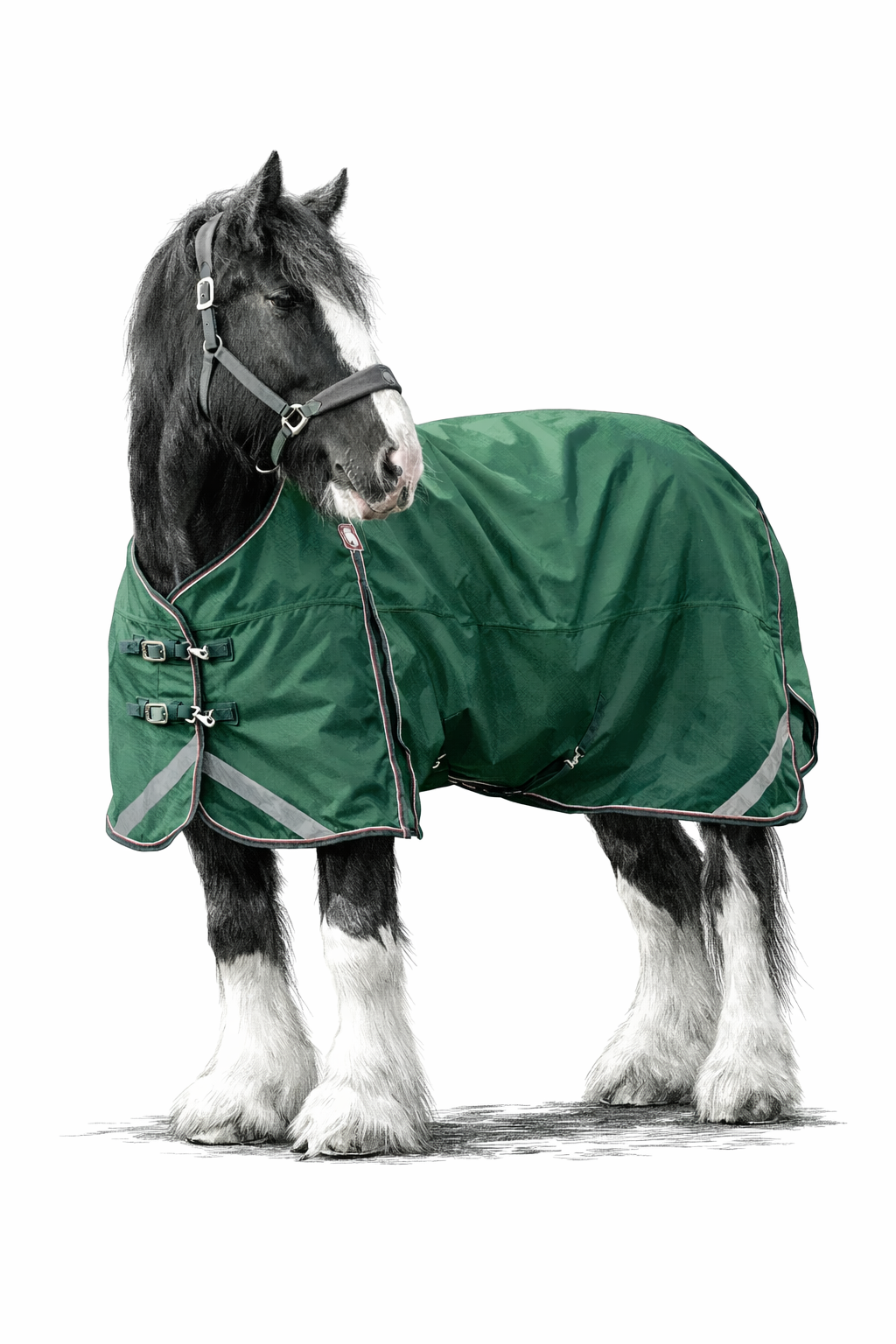 Epic Essential 100g Turnout Rug - Broad Fit