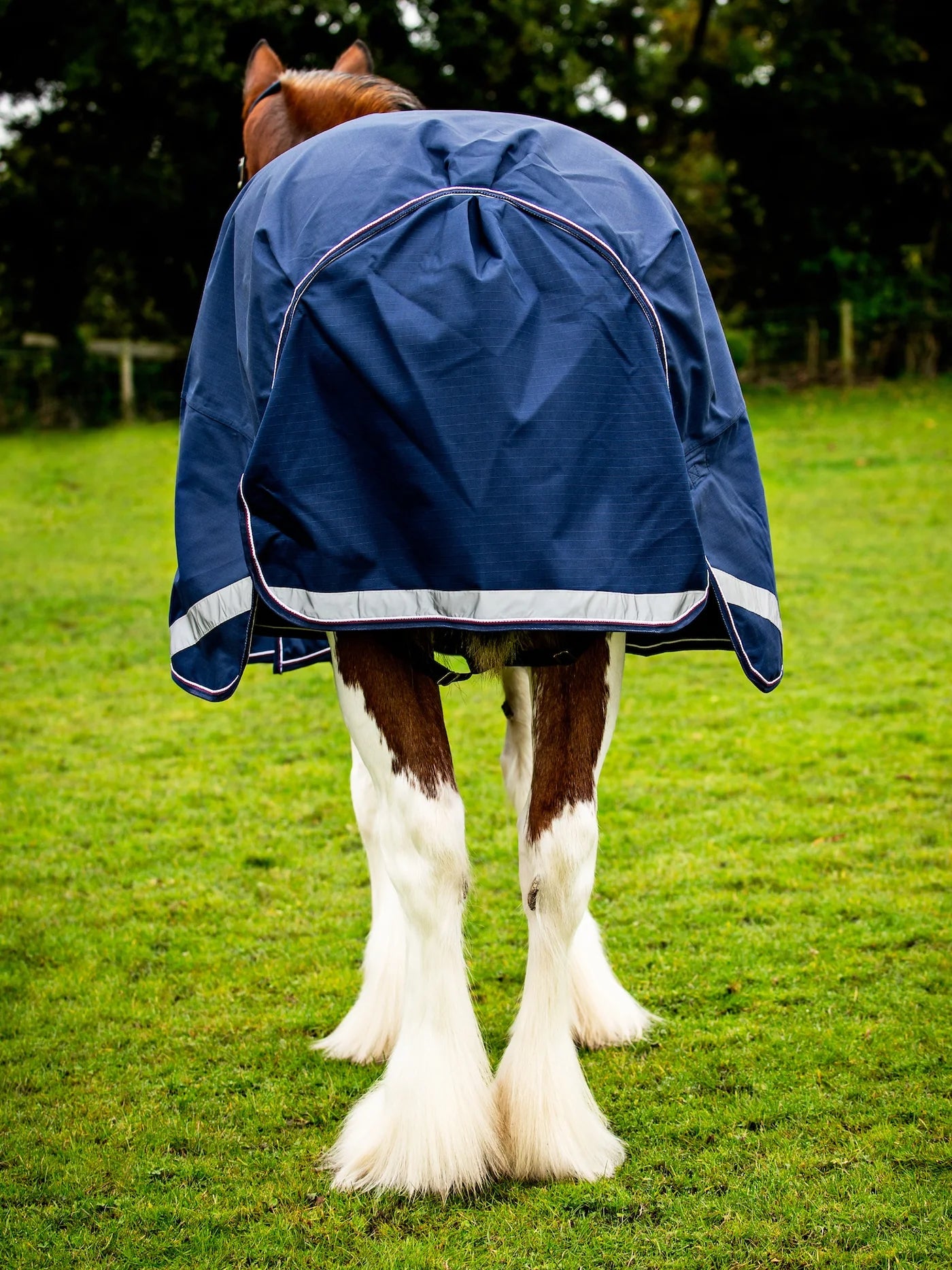 Epic Essential 40g Turnout Rug - Broad Fit