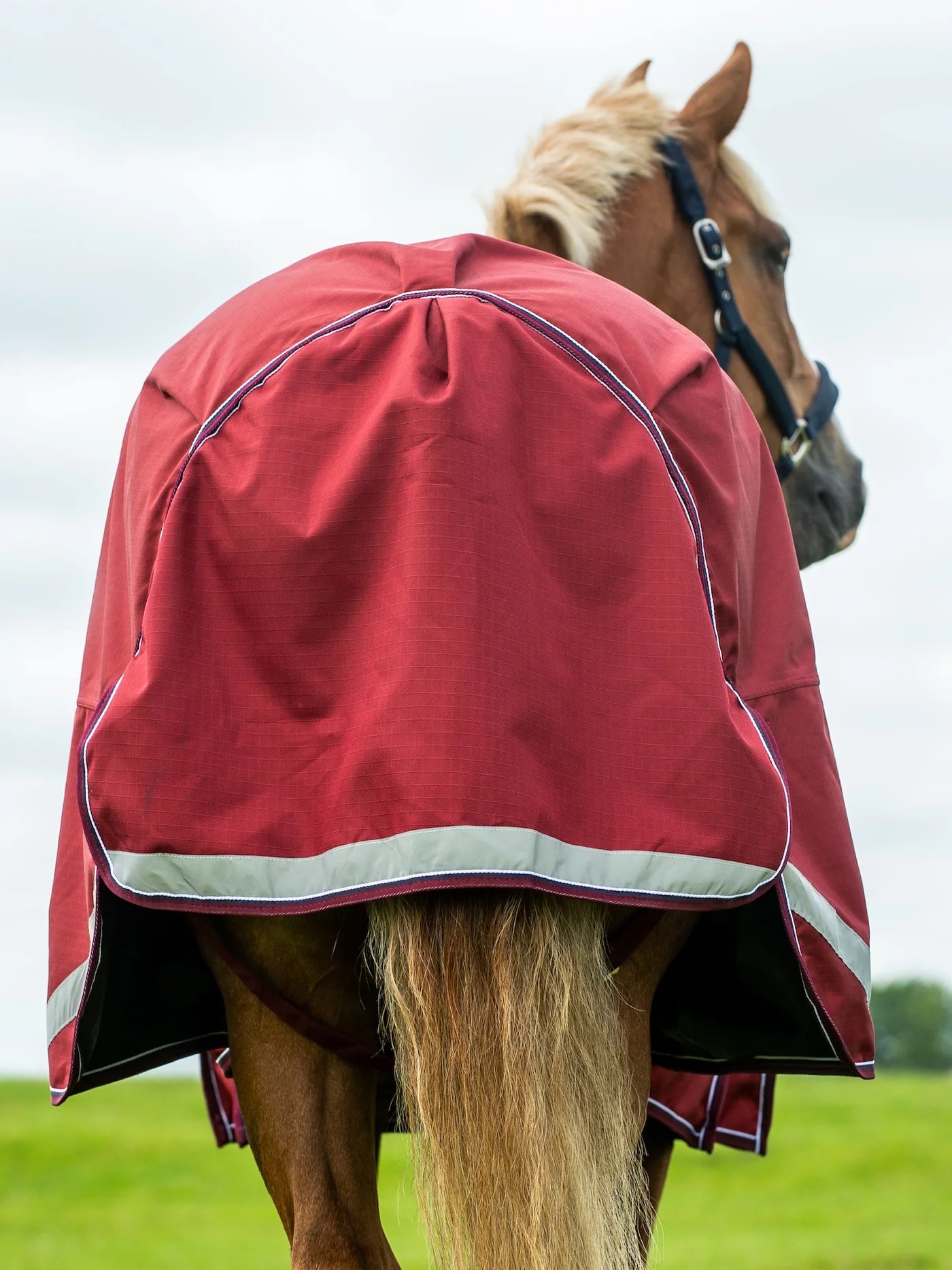 Epic Essential No Fill Turnout Rug - Broad Fit