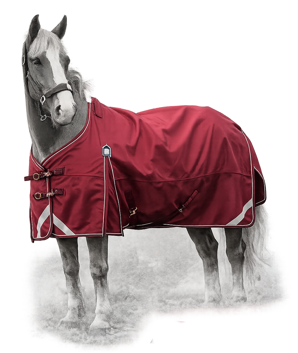Epic Essential No Fill Turnout Rug - Broad Fit