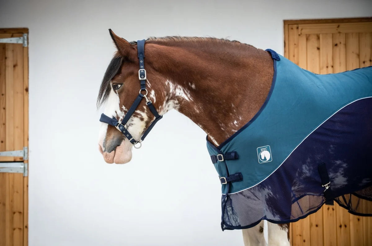 Epic Classic Sport Cooler - Broad Fit - Indian Teal/Navy