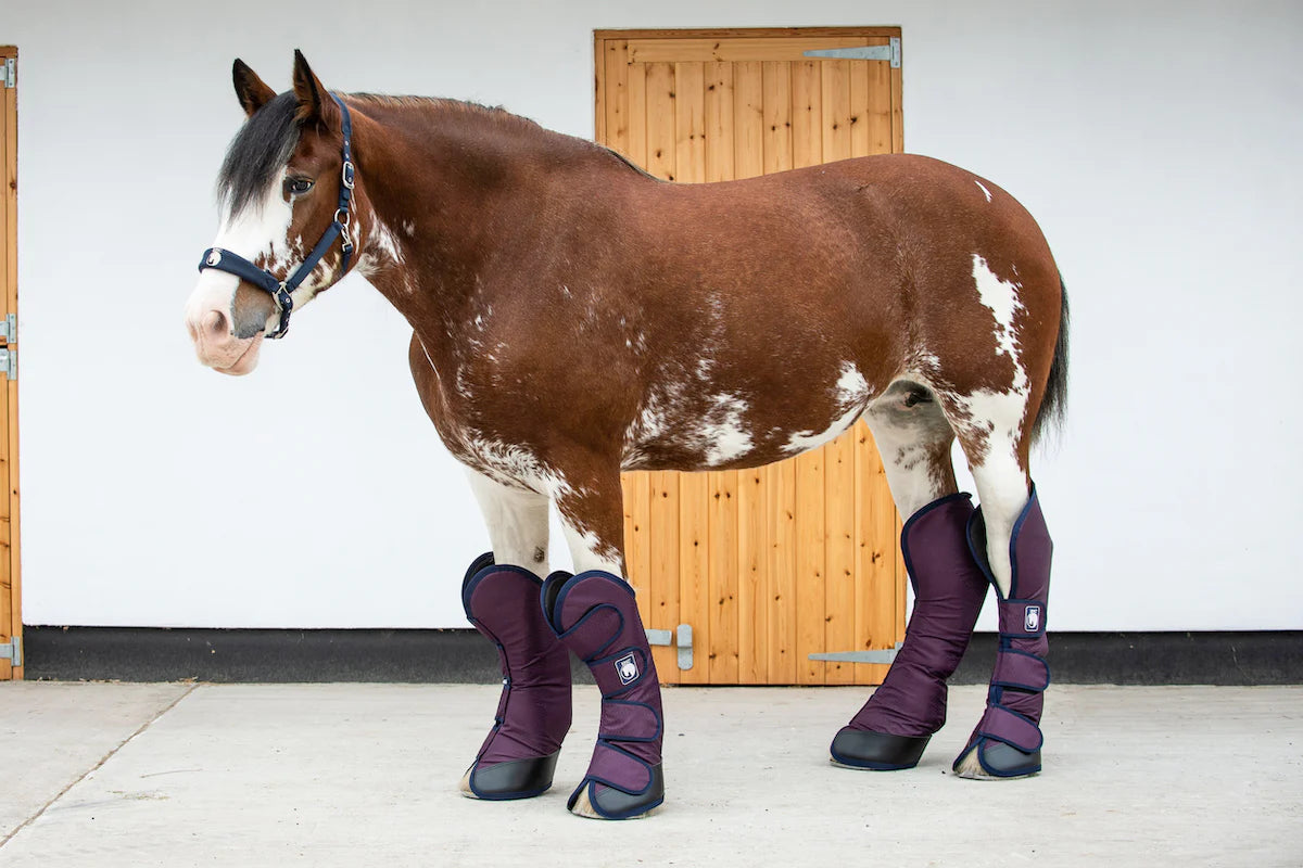 Epic Classic Travel Boots - Broad Fit - Wine