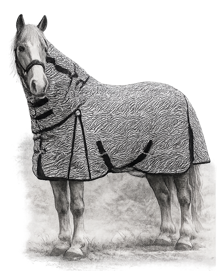 Epic Classic Zebra Fly Rug - Broad Fit